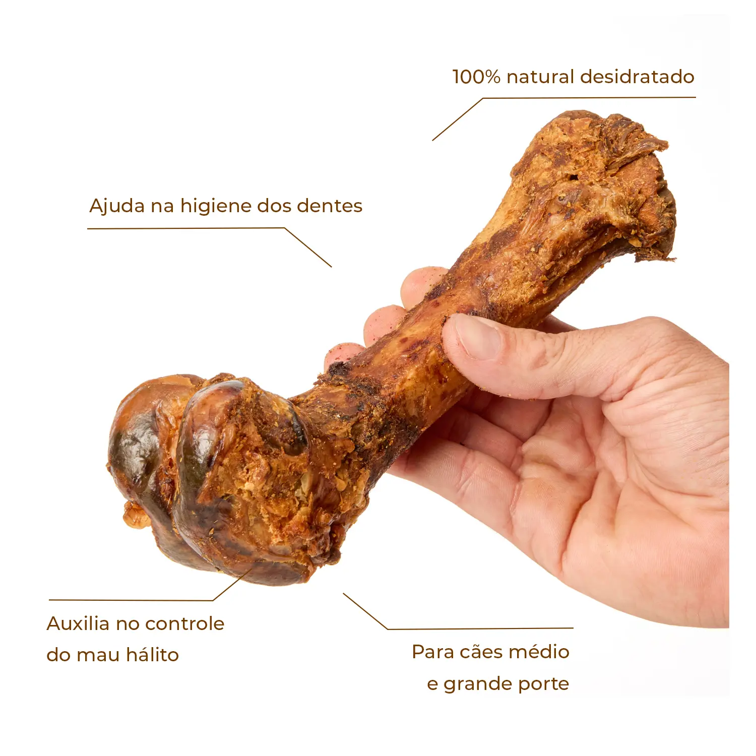 Joy Osso Fêmur Suíno Desidratado
